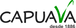 Capuava